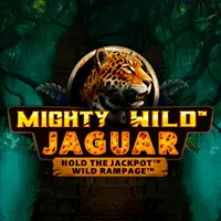 Dudespin Casino – Mighty Wild Jaguar